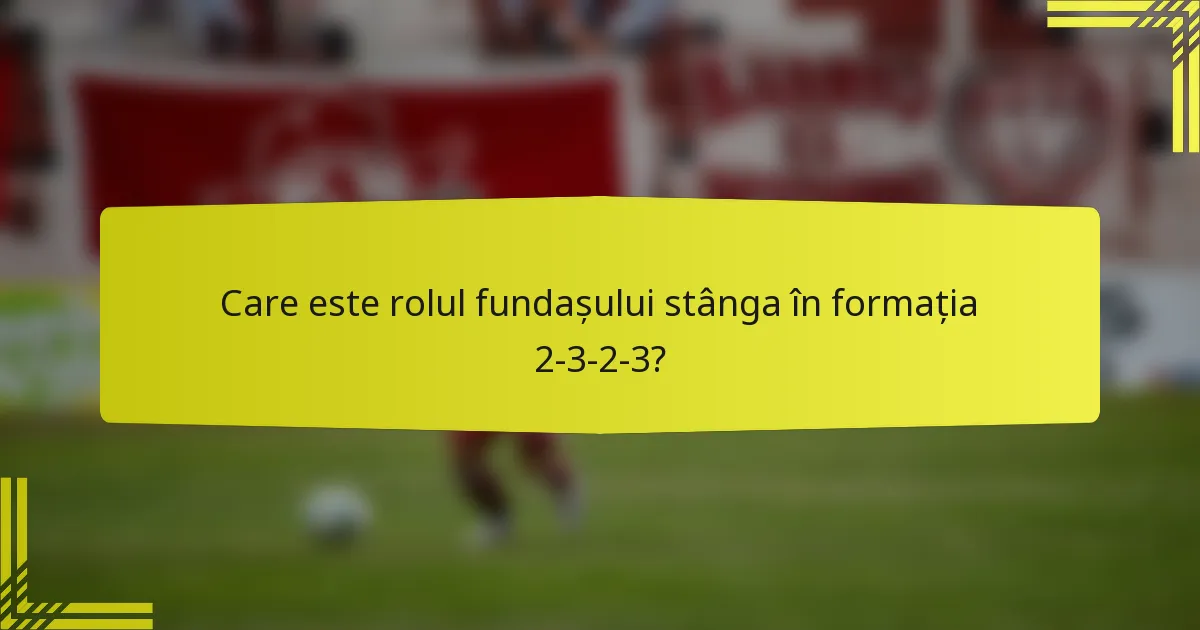 Care este rolul fundașului stânga în formația 2-3-2-3?