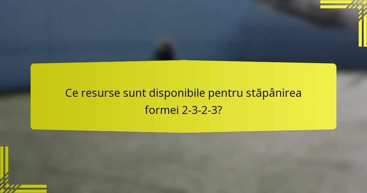 Ce resurse sunt disponibile pentru stăpânirea formei 2-3-2-3?