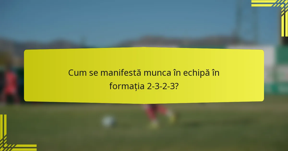 Cum se manifestă munca în echipă în formația 2-3-2-3?